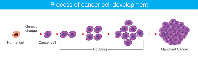 cancer treatments in Bangalore