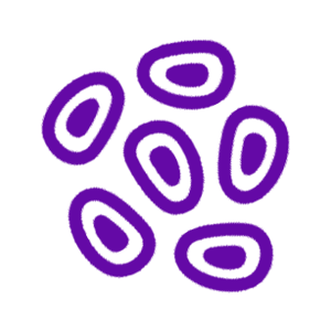 Germ Cell Tumour