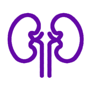 Kidney Cancer