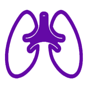 Lung Cancer Treatment in Bangalore at Dr. Shiva Kumar Uppala
