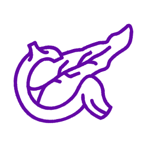 Pancreatic Cancer Treatment in India at OncoIndia