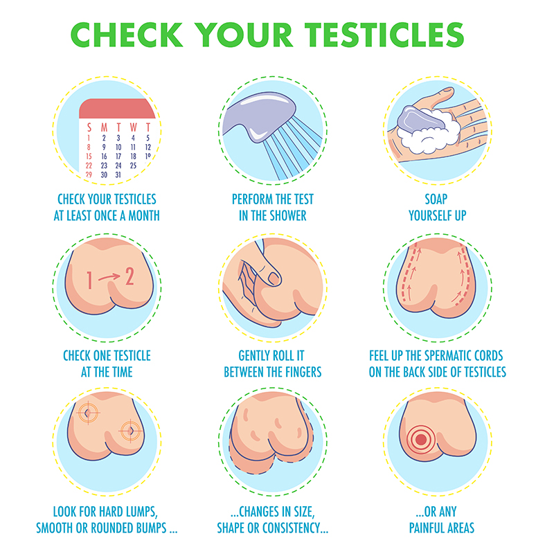 testicles examination