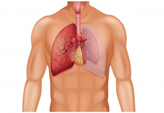 lung cancer treatment in bangalore